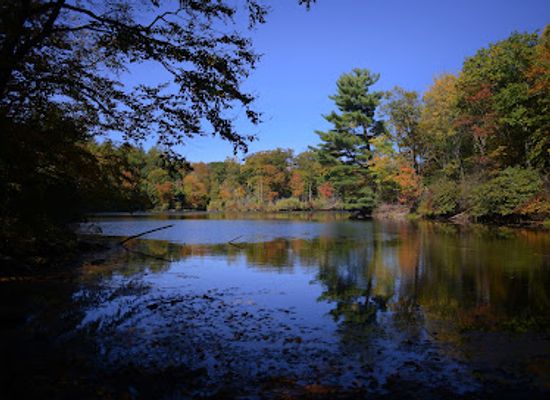 connecticut/housatonic-valley/attraction/george-c-waldo-state-park