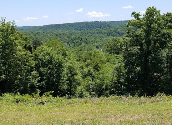 indiana/hoosier-national-forest/attraction/harrison-crawford-state-forest