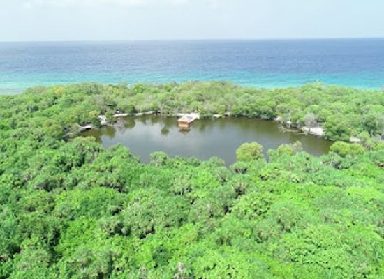maldives/haa-alif-atoll/attraction/molhadhoo-eco-park