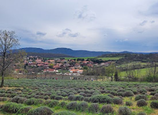 hungary/central-hungary/attraction/proud-mountain-lavender-meadow