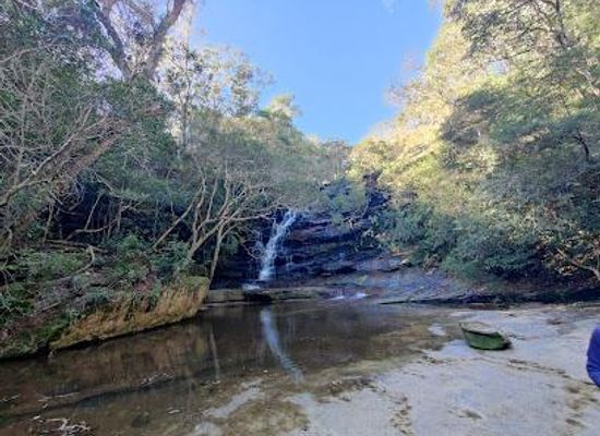 australia/central-coast/attraction/somersby-falls-walking-track