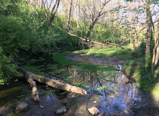 kentucky/lexington/attraction/mcconnell-springs-park