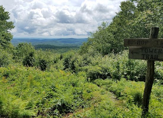 vermont/windham-county/attraction/hogback-mountain-conservation-area
