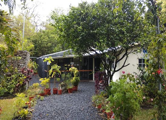panama/colon/attraction/butterfly-haven