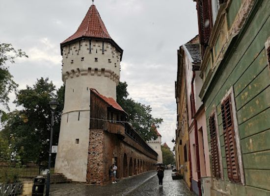 romania/alba/attraction/citadel-park