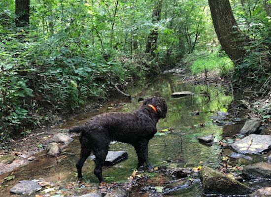 north-carolina/piedmont/attraction/tot-hill-farm-trailhead