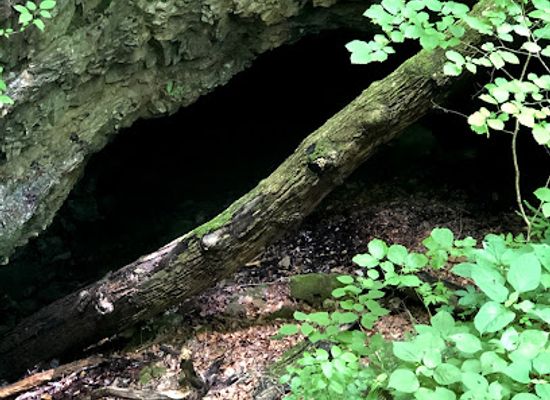 kentucky/mammoth-cave-national-park/attraction/dixon-cave