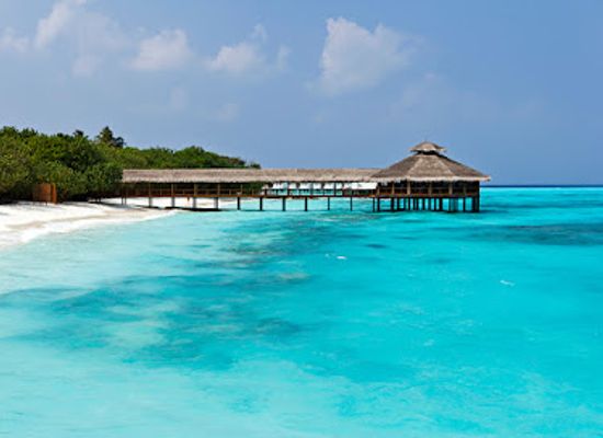 maldives/raa-atoll/attraction/fonimagoodhoo