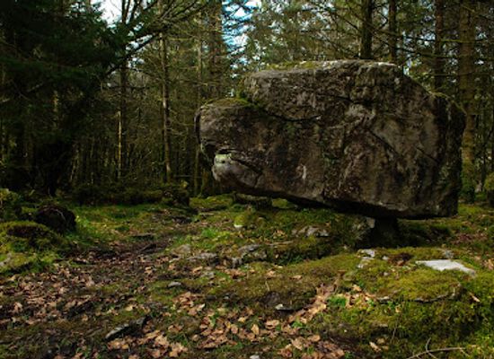 ireland/county-cavan/attraction/cavan-burren-park