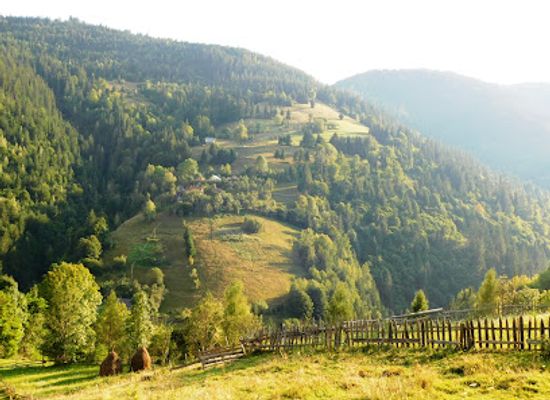 romania/apuseni-mountains/attraction/cheile-mandrutului