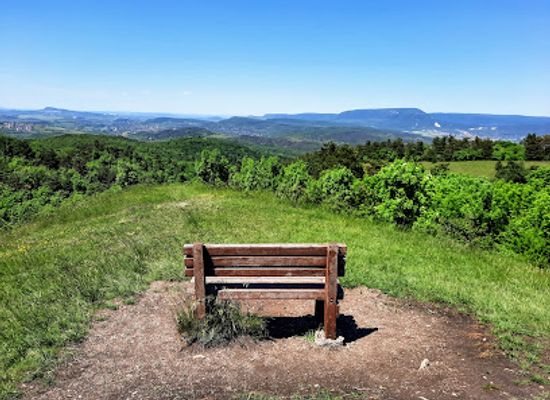 hungary/central-hungary/attraction/nagy-szenas-tanosveny