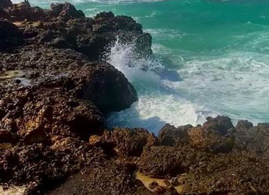 oman/muscat-governorate/attraction/nobles-marine-tours