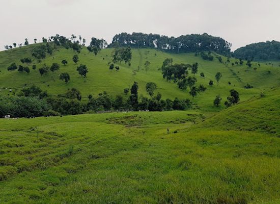 rwanda/akagera-national-park/attraction/gishwati-mukura-national-park-and-biosphere-reserve