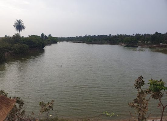 the-gambia/upper-saloum/attraction/oasis-and-trails
