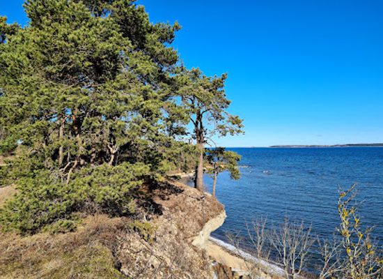 estonia/laane-county/attraction/lahe-pank