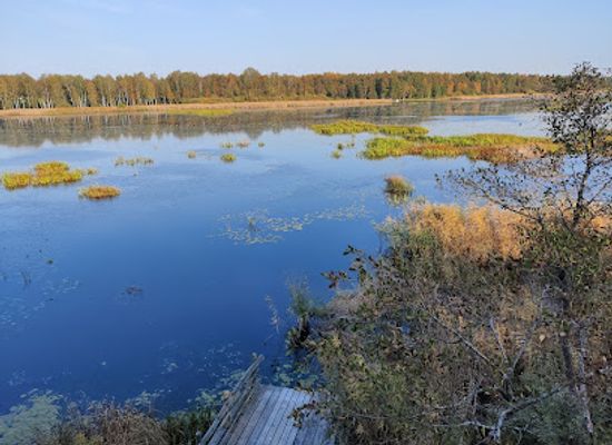 estonia/tartumaa/attraction/elistvere-animal-park