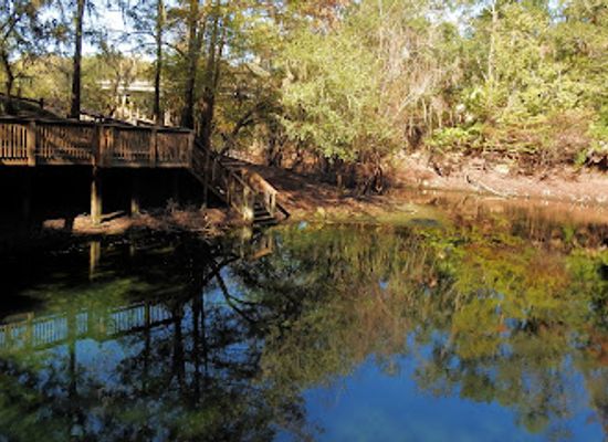 florida/suwannee-river/attraction/ivey-memorial-park