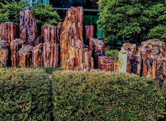 washington/puget-sound/attraction/freeway-park