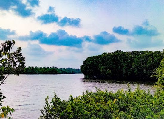 india/kochi/attraction/kalathara-backwater-view-point