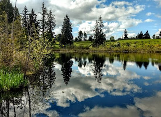 washington/kent/attraction/clark-lake-park