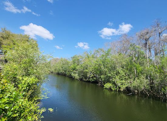 florida/fakahatchee-strand-preserve-state-park/attraction/big-cypress-national-preserve
