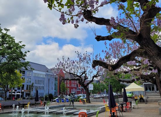 belgium/liege/attraction/place-des-carmes