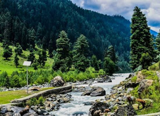 india/kashmir-valley/attraction/asar-kashmir-tour-and-travel