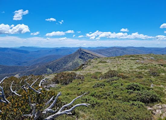 australia/high-country/attraction/the-bluff