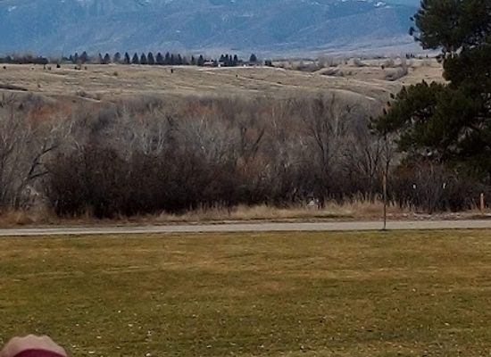 wyoming/big-horn-county/attraction/trail-end-state-historic-site