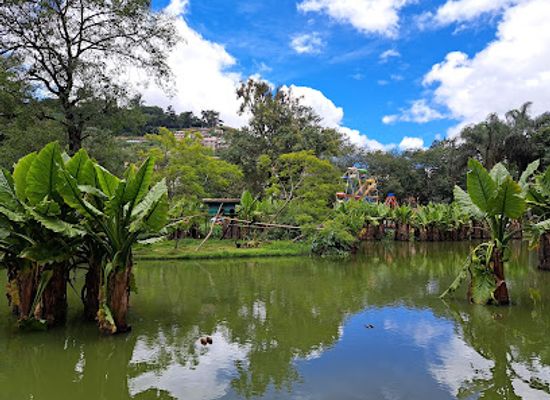 madagascar/antananarivo/attraction/tsimbazaza-zoo-and-botanical-gardens