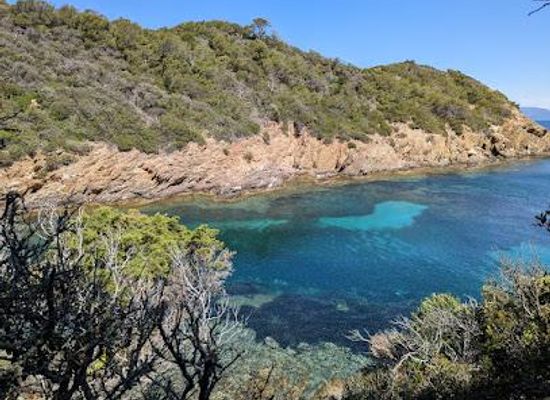 france/saint-tropez/attraction/parc-national-de-port-cros