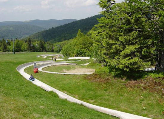 france/vosges-mountains/attraction/luge-d-ete-col-de-la-schlucht