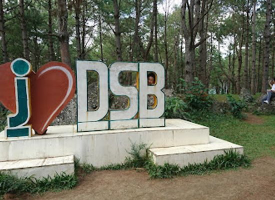 philippines/visayas/attraction/pinewood-forest