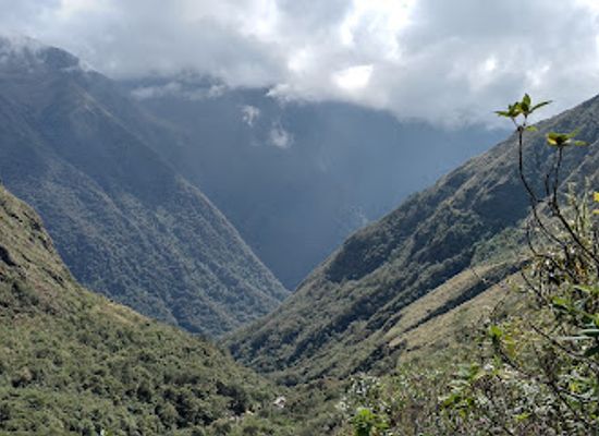 bolivia/yungas/attraction/takesi-trail