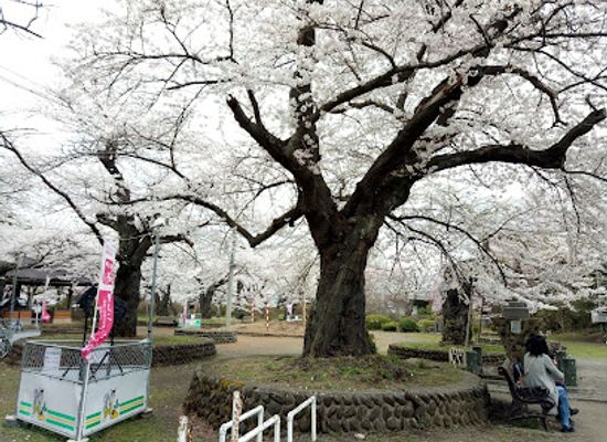 japan/etchu/attraction/mizusawa-park