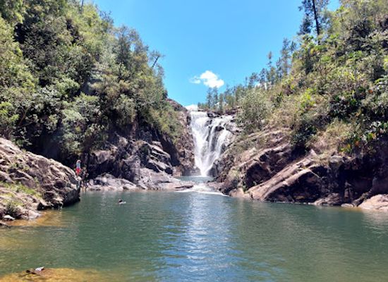 belize/vaca-plateau/attraction/mountain-pine-ridge-forest-reserve