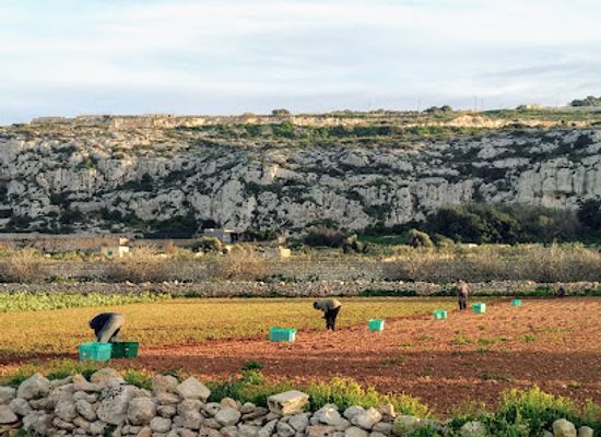malta/tas-silg-area/attraction/il-widna
