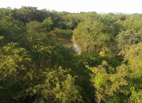 cameroon/north-region/attraction/modzogo-gokoro-cameroon-national-park
