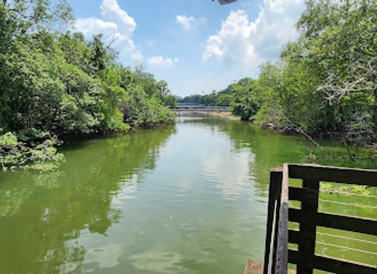 singapore/tampines/attraction/pasir-ris-mangrove-jetty
