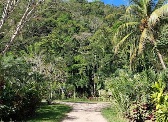 belize/mountain-pine-ridge-forest-reserve/attraction/mike-s-place