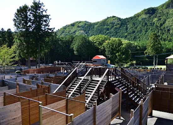 japan/nikko/attraction/grand-maze-palladium