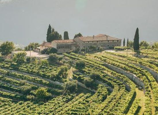 italy/verona/attraction/tenuta-santa-maria-valverde