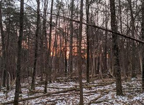 canada/ottawa/attraction/pine-hill