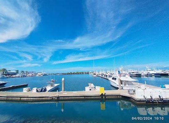 costa-rica/manuel-antonio/attraction/marina-pez-vela