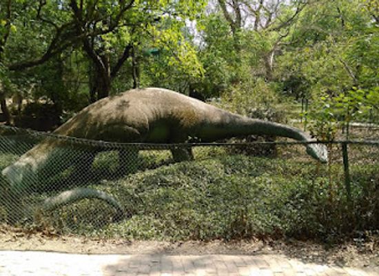 india/kanpur/kakadeo/attraction/kanpur-zoological-park