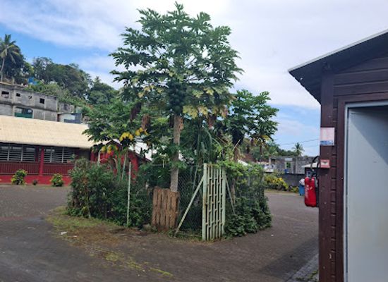 mayotte/maore/attraction/parc-amina-oili