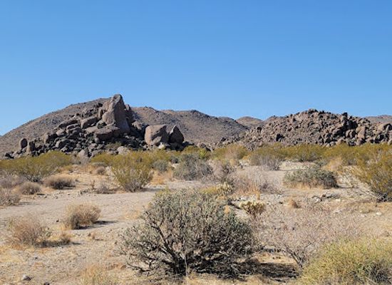 california/joshua-tree-national-park/attraction/contact-mine-trail