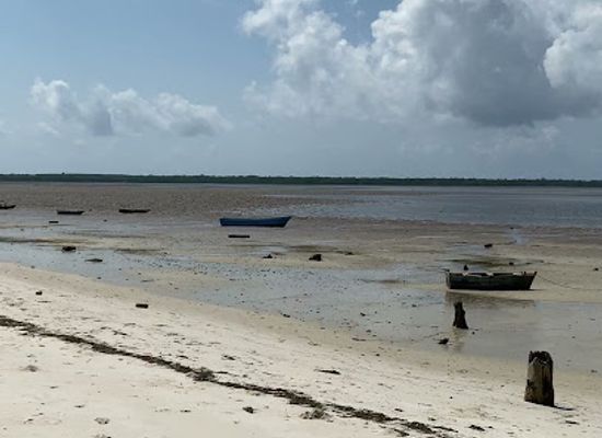 kenya/diani-beach/attraction/mangrove-broadwalk