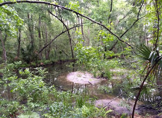 florida/ocala-national-forest/attraction/fort-king-national-historic-landmark