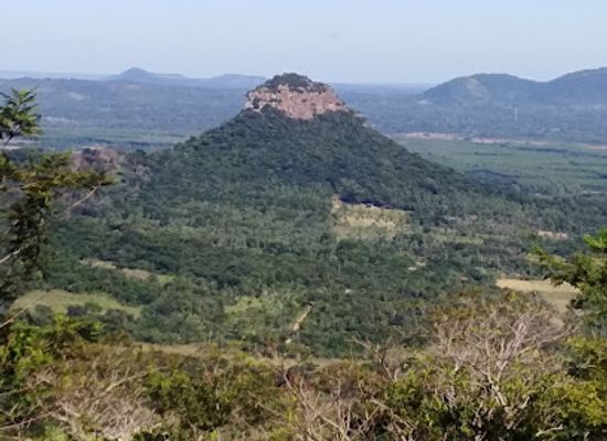 paraguay/central-department/attraction/eco-reserva-mbatovi